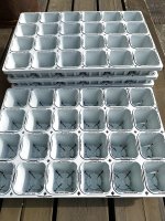 画像1: ９cmトレー付きポット（24個入り） (1)