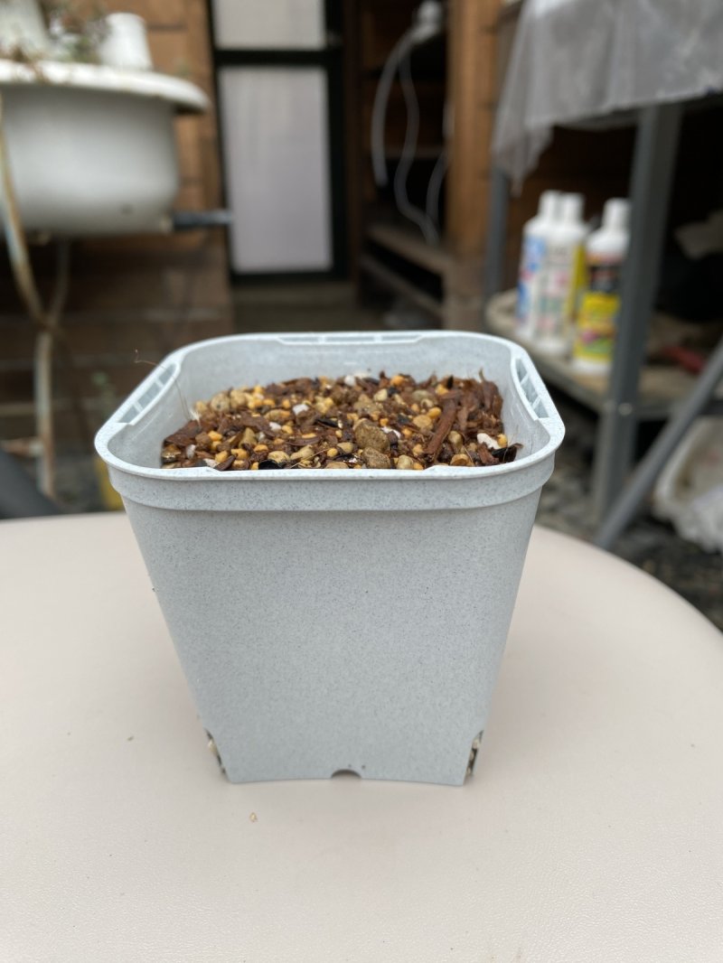 画像3: ９cmトレー付きポット（24個入り） (3)